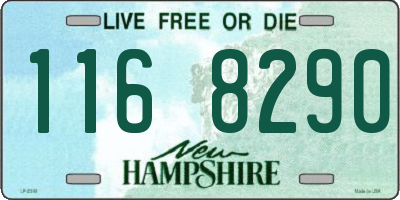 NH license plate 1168290
