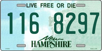 NH license plate 1168297