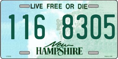NH license plate 1168305