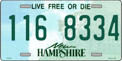 NH license plate 1168334