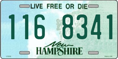 NH license plate 1168341