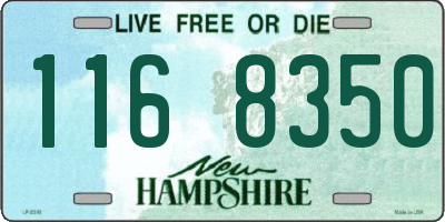 NH license plate 1168350