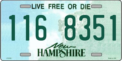 NH license plate 1168351