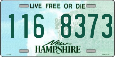 NH license plate 1168373