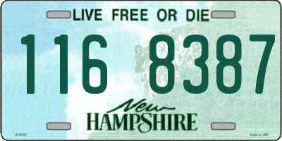 NH license plate 1168387