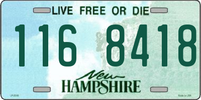 NH license plate 1168418