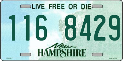 NH license plate 1168429
