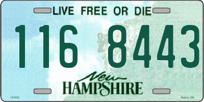 NH license plate 1168443