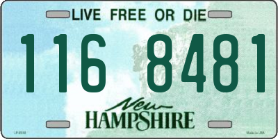 NH license plate 1168481