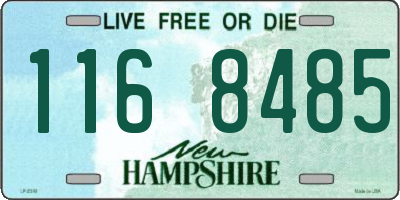 NH license plate 1168485