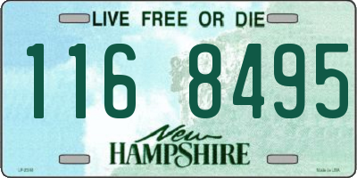 NH license plate 1168495