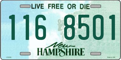 NH license plate 1168501