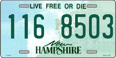 NH license plate 1168503