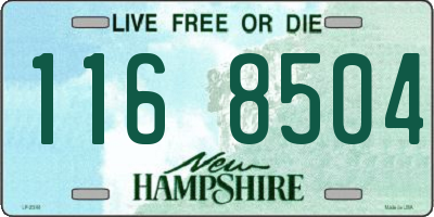 NH license plate 1168504