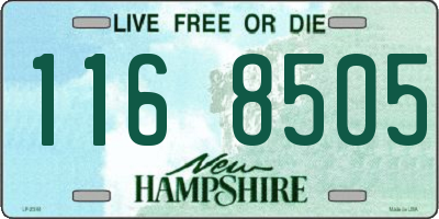 NH license plate 1168505