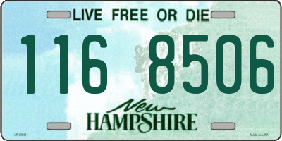 NH license plate 1168506