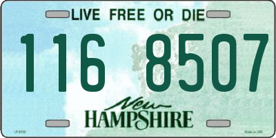 NH license plate 1168507