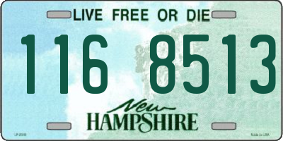 NH license plate 1168513