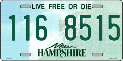 NH license plate 1168515