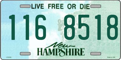 NH license plate 1168518