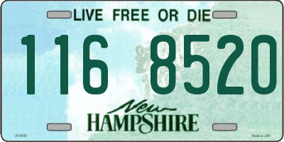 NH license plate 1168520