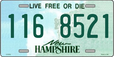 NH license plate 1168521