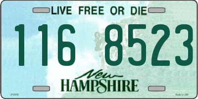 NH license plate 1168523