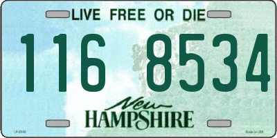 NH license plate 1168534