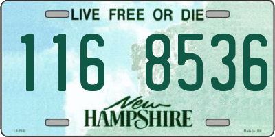 NH license plate 1168536