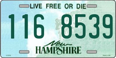 NH license plate 1168539