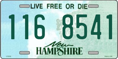 NH license plate 1168541
