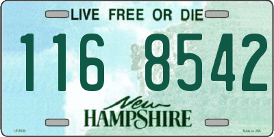 NH license plate 1168542