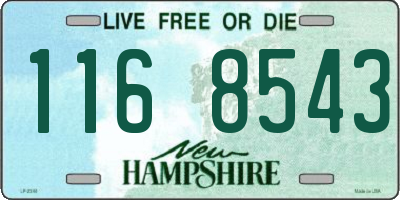 NH license plate 1168543