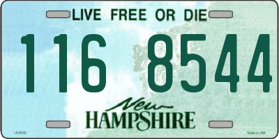 NH license plate 1168544