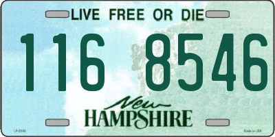 NH license plate 1168546