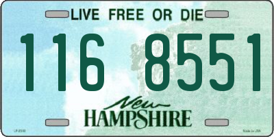 NH license plate 1168551