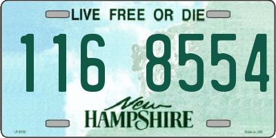 NH license plate 1168554