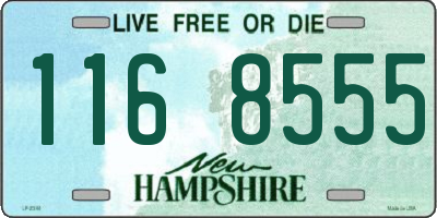 NH license plate 1168555