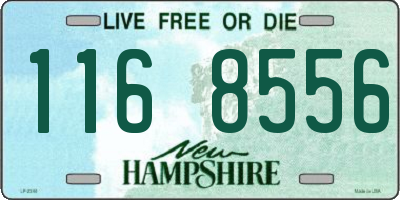 NH license plate 1168556