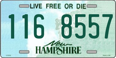 NH license plate 1168557