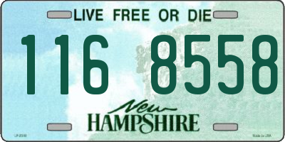 NH license plate 1168558