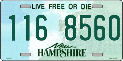 NH license plate 1168560