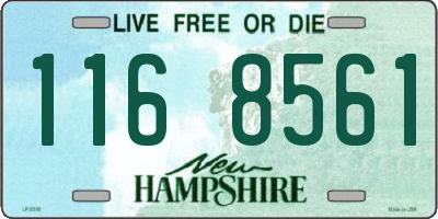 NH license plate 1168561