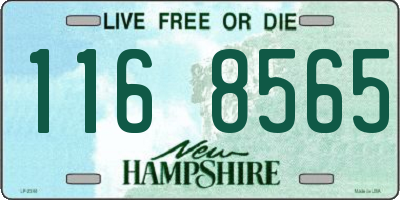 NH license plate 1168565