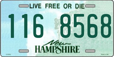 NH license plate 1168568