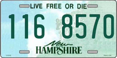 NH license plate 1168570