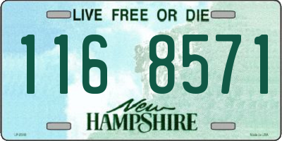NH license plate 1168571