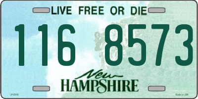 NH license plate 1168573