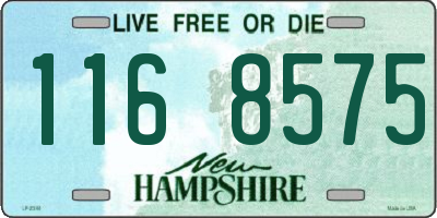 NH license plate 1168575