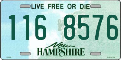 NH license plate 1168576